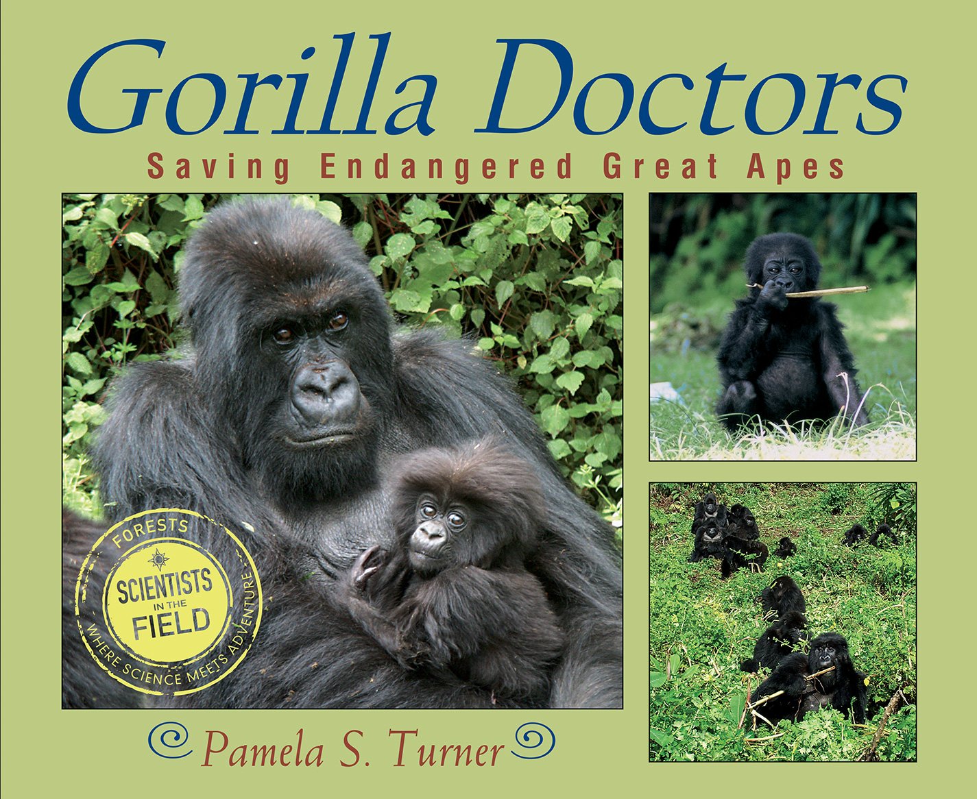 Gorilla Doctors: Saving Endangered Great Apes (Scientists in the Field)