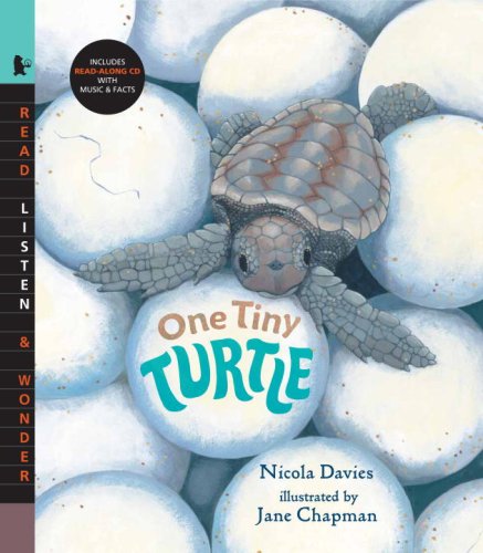 One Tiny Turtle with Audio: Read, Listen, & Wonder