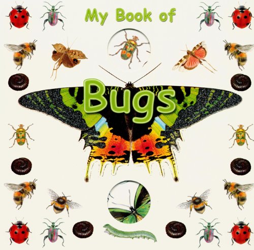 My Book of Bugs (Board Book)