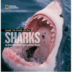 Face to Face with Sharks Paperback (Scholastic)