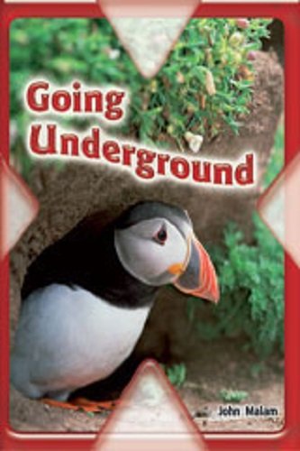 Steck-Vaughn Pair-It Extreme: Individual Student Edition Going Underground