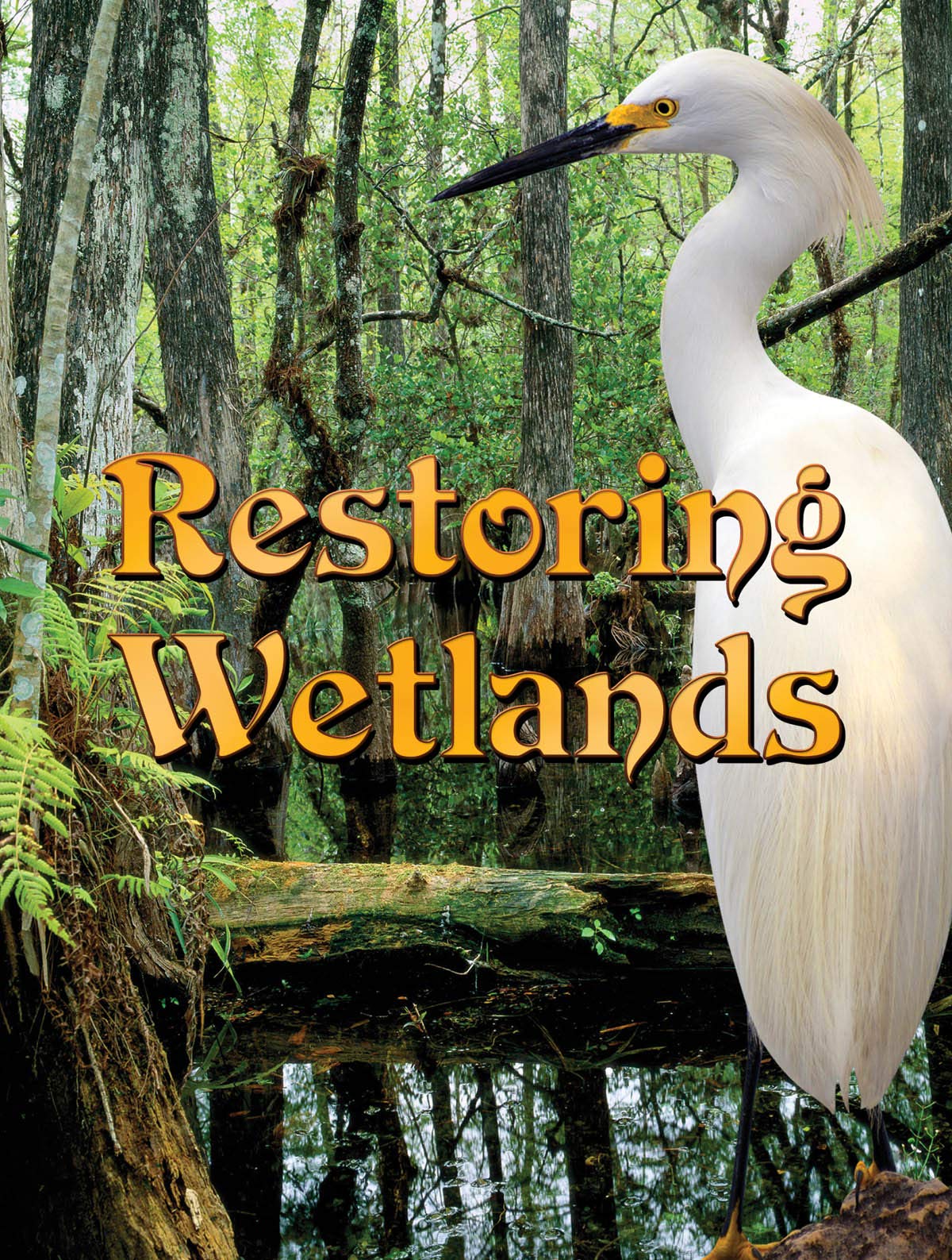 Restoring Wetlands (Let's Explore Science)