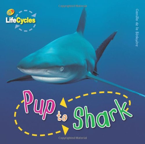 Pup to Shark (Lifecycles)