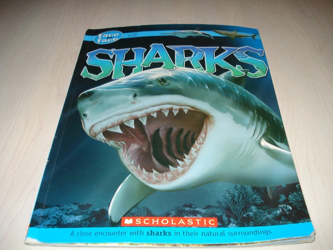 Sharks: A close encounter with sharks in their natural surroundings (Face to Face)