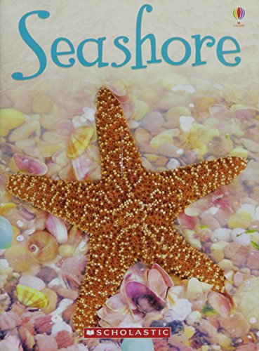 Seashore (Usborne Beginners)