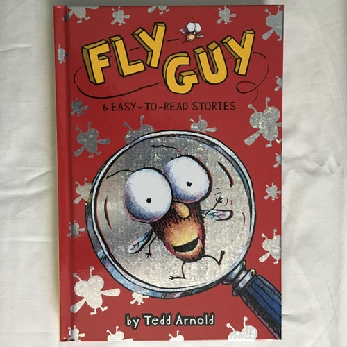 Fly Guy 6 Easy To Read Stories