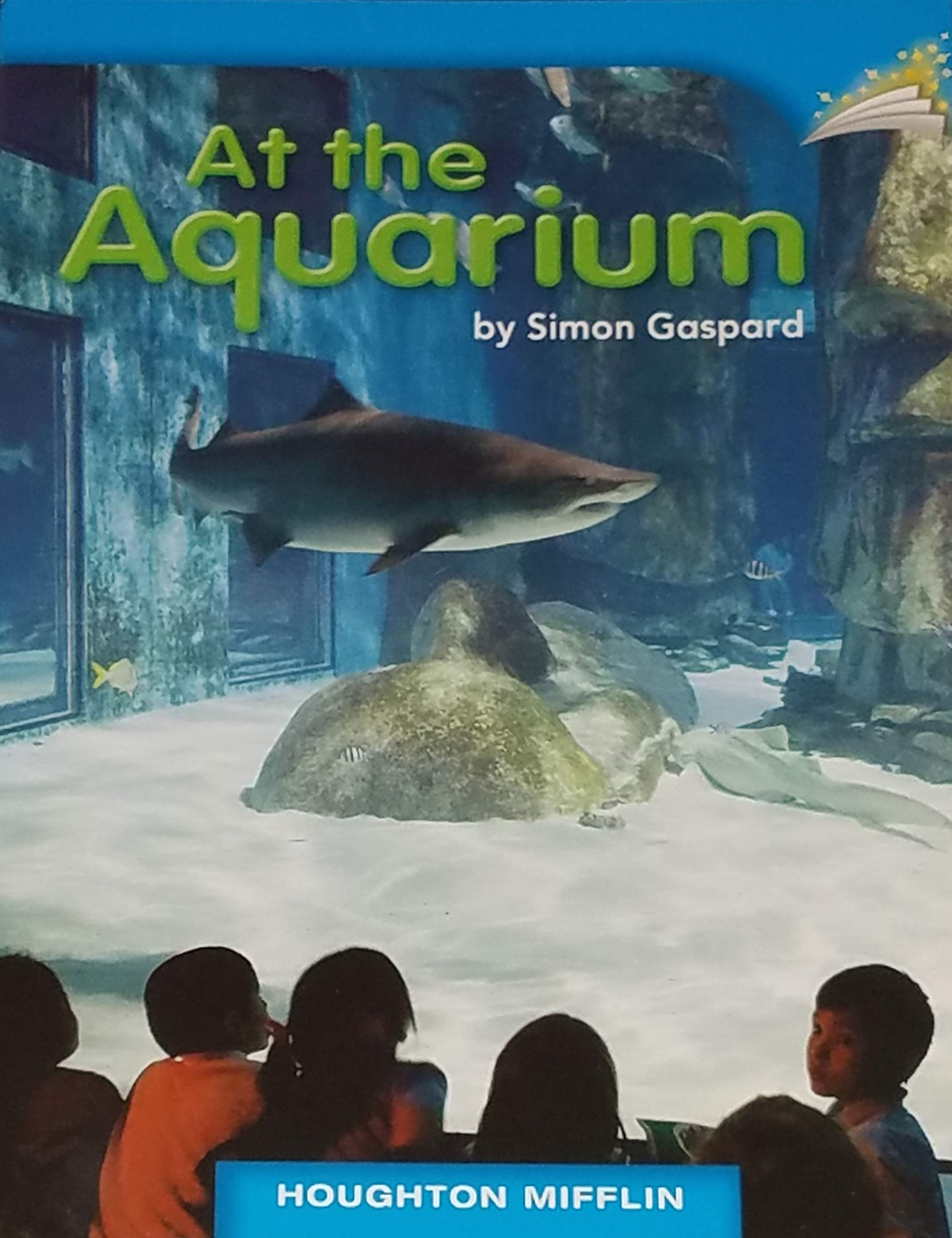 At the Aquarium