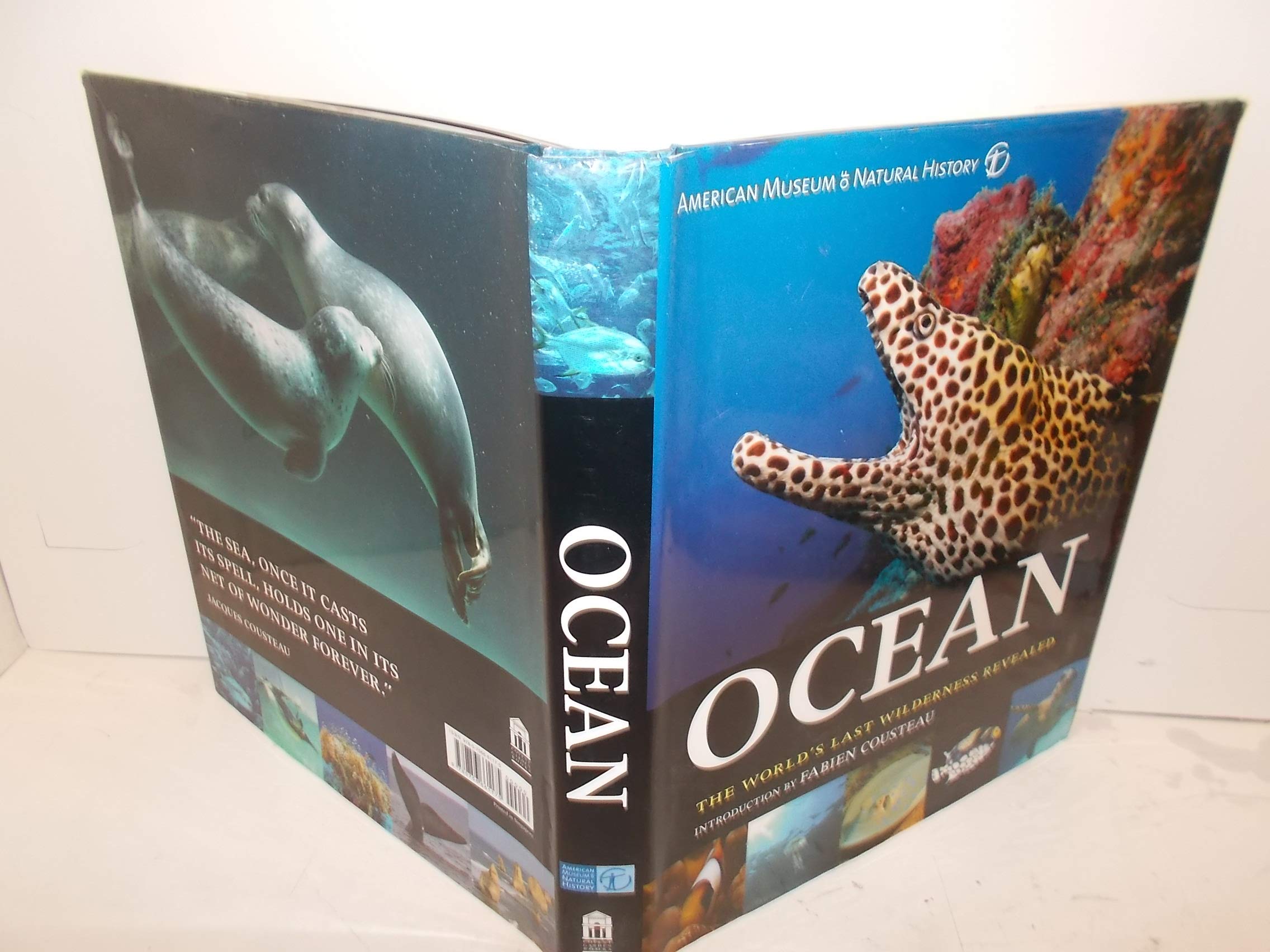 Ocean: The World's Last Wilderness Revealed