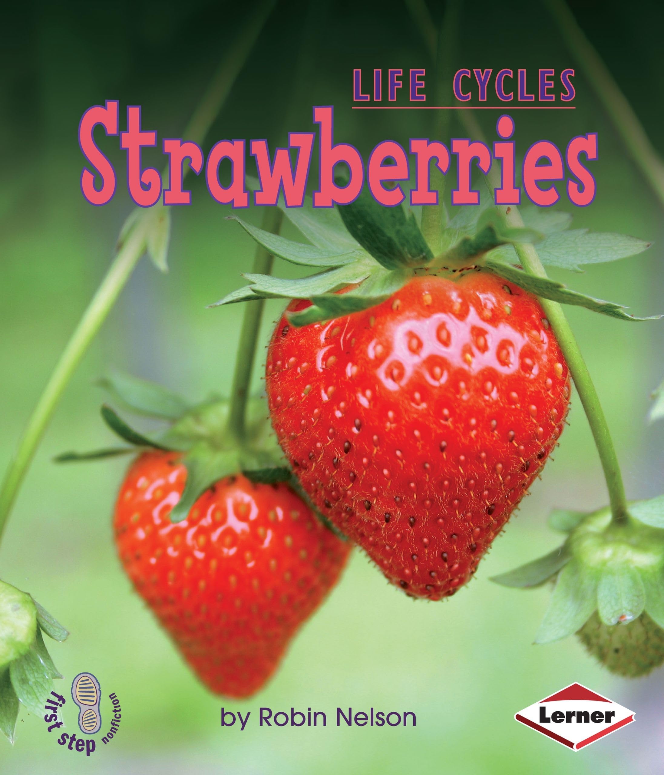 Strawberries (First Step Nonfiction ― Plant Life Cycles)