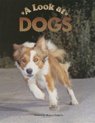 Steck-Vaughn Pair-It Books Early Fluency Stage 3: Student Reader Look At Dogs, A , Story Book