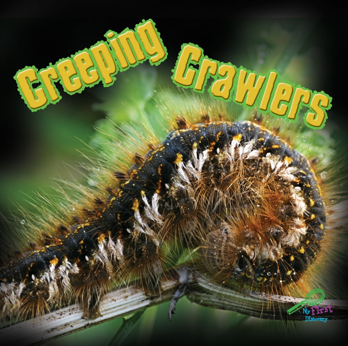 Creeping Crawlers (My First Discovery)