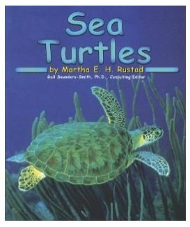 Sea Turtles [Scholastic] (Ocean Life)