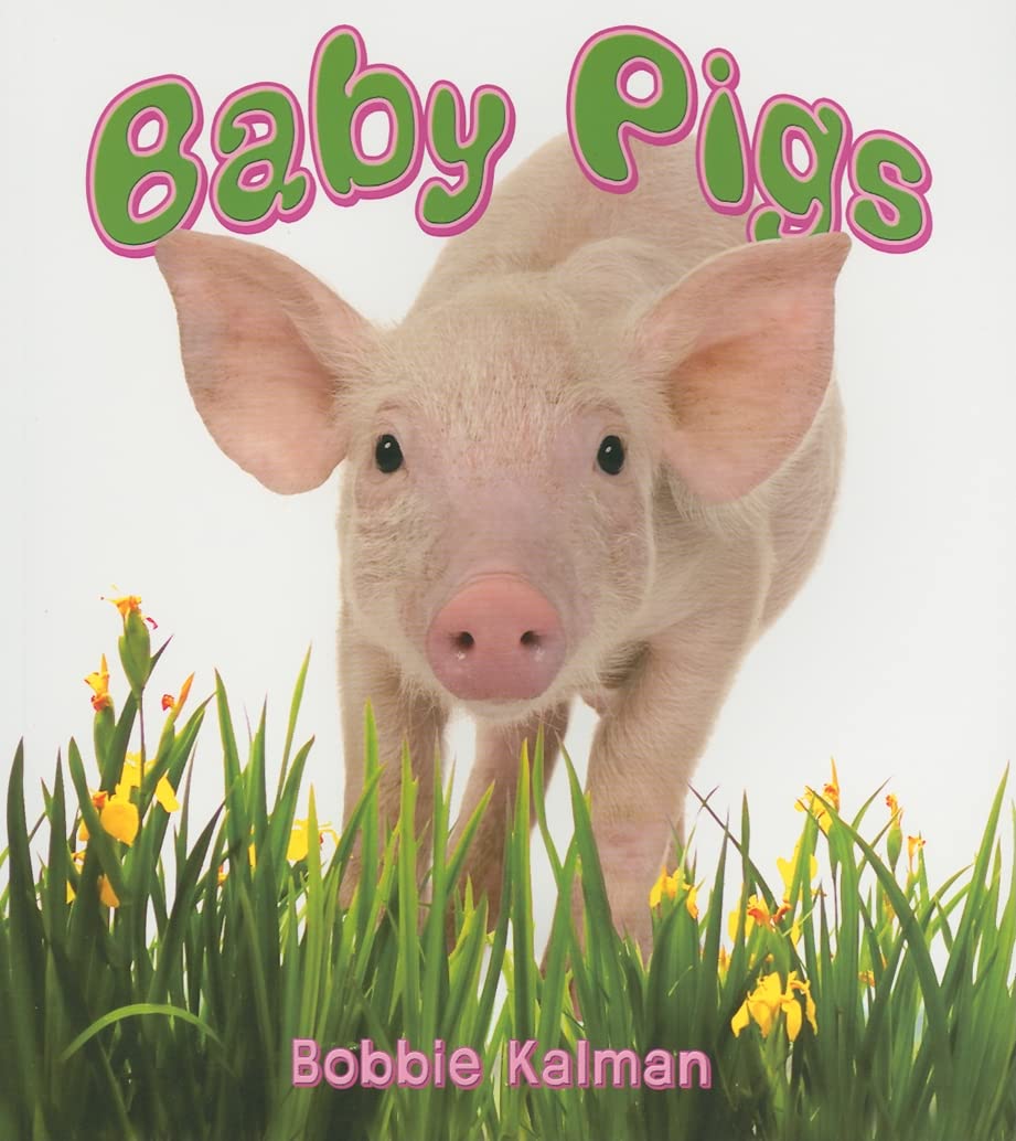 Baby Pigs (It's Fun to Learn about Baby Animals)