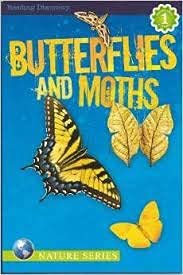 BUTTERFLIES AND MOTHS (NATURE SERIES)