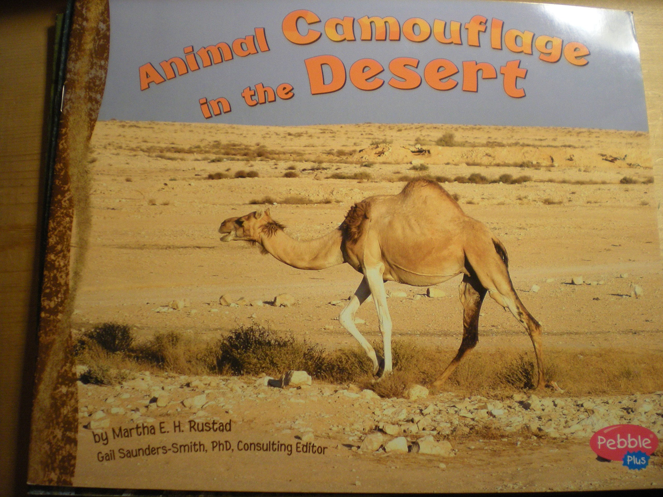 Animal Camouflage in the Desert [Scholastic] (Hidden in Nature)
