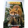 Discovering My World Foxes