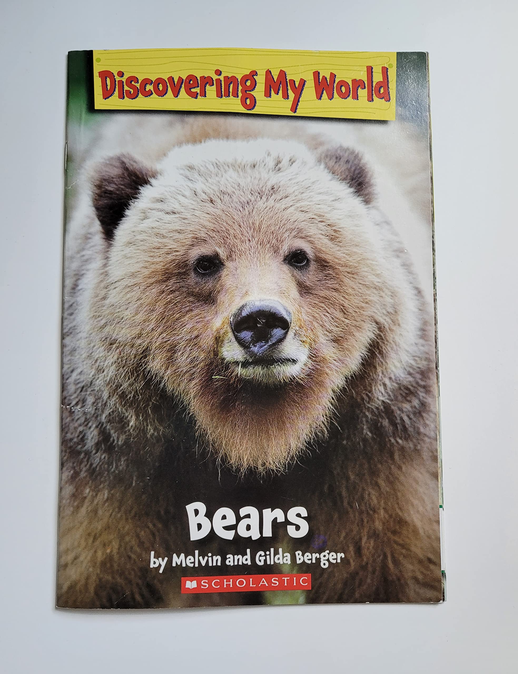 Discovering My World: Bears