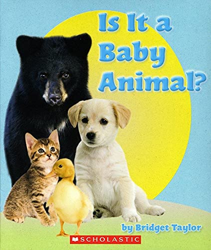 Is It a Baby Animal?