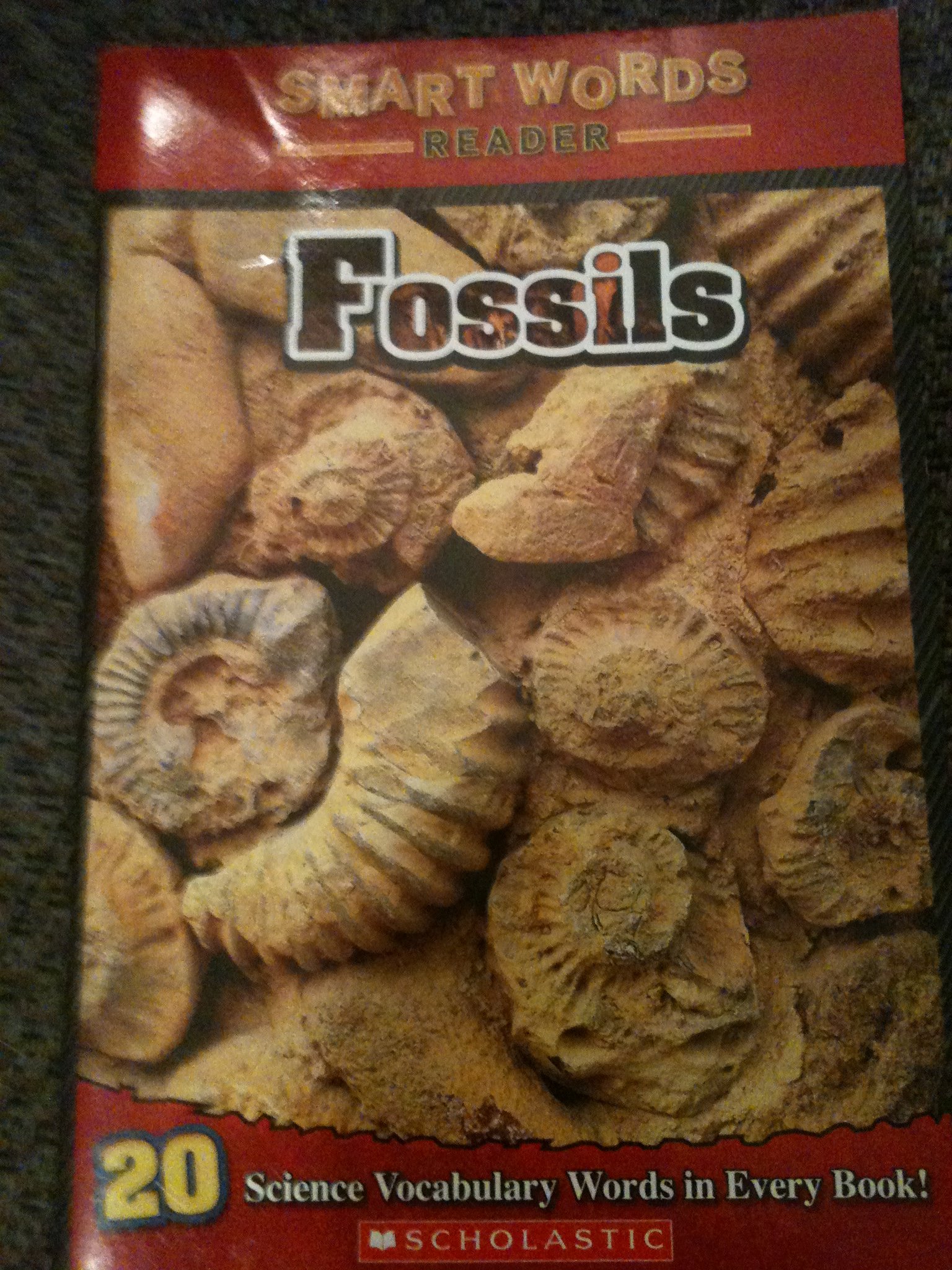 Fossils