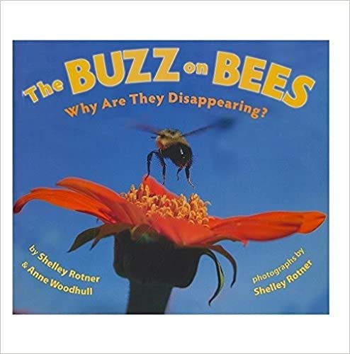 The Buzz on Bees Why Are They Disappearing?