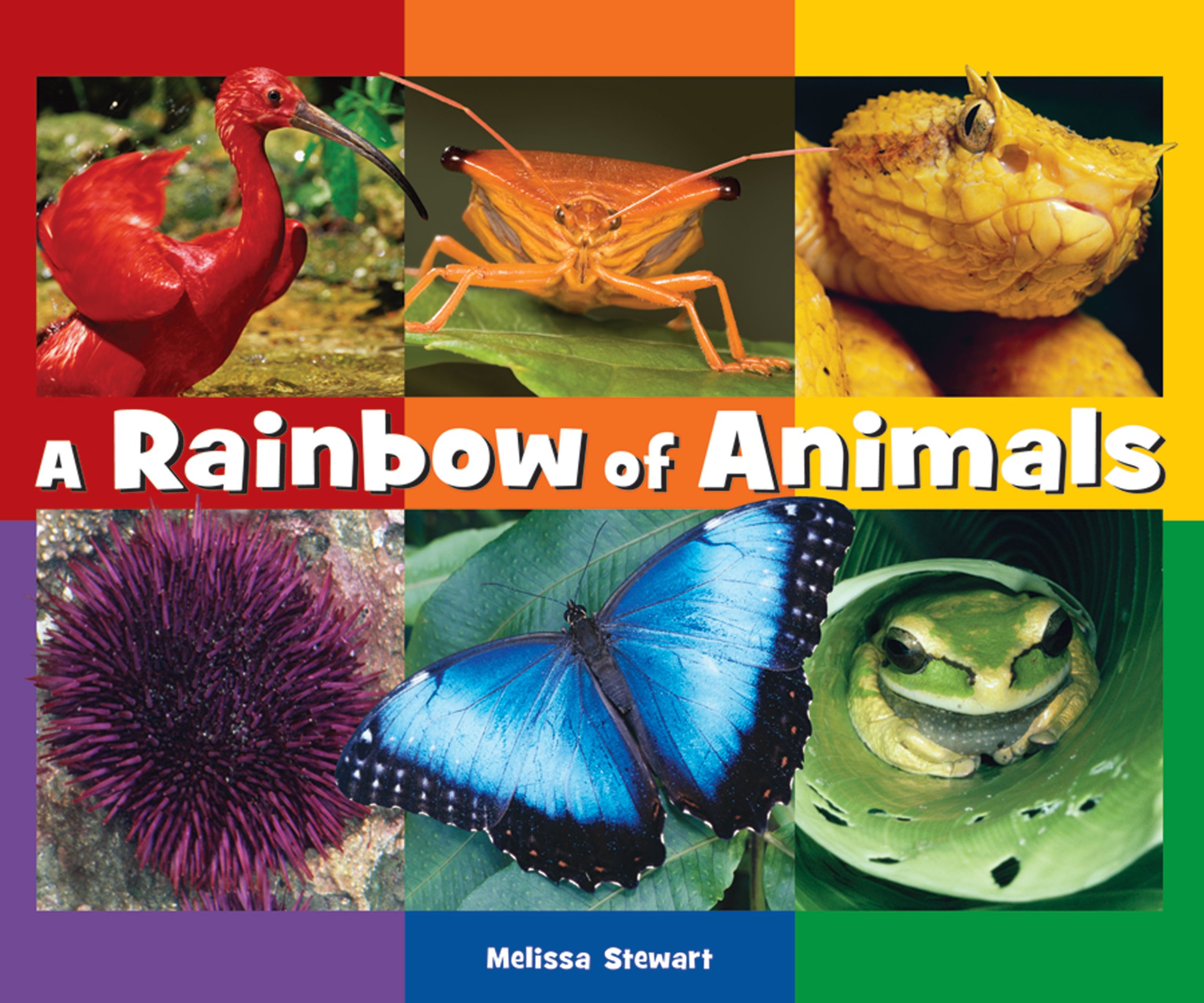 A Rainbow of Animals