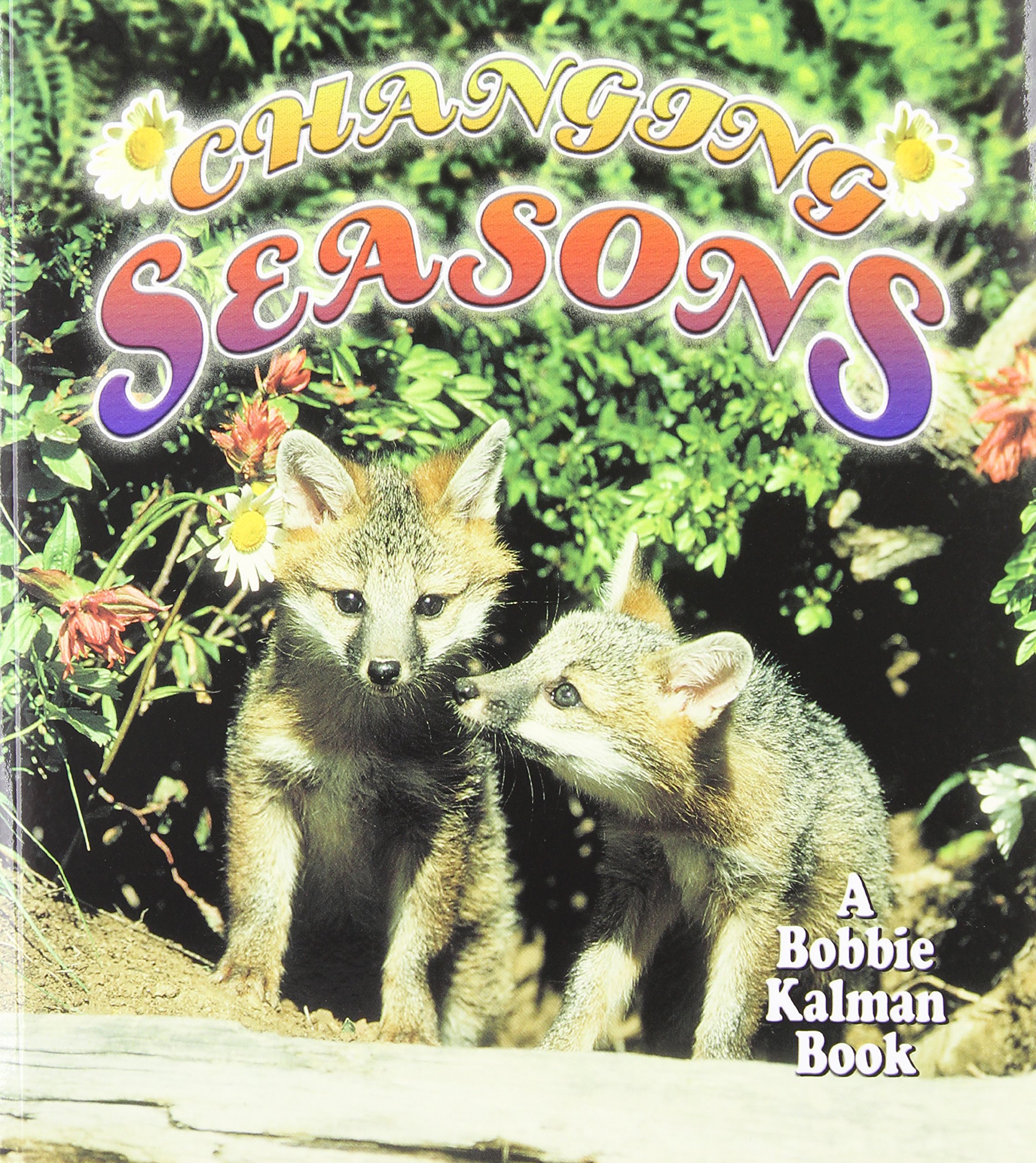 Library Book: Changing Seasons (Nature's Changes)