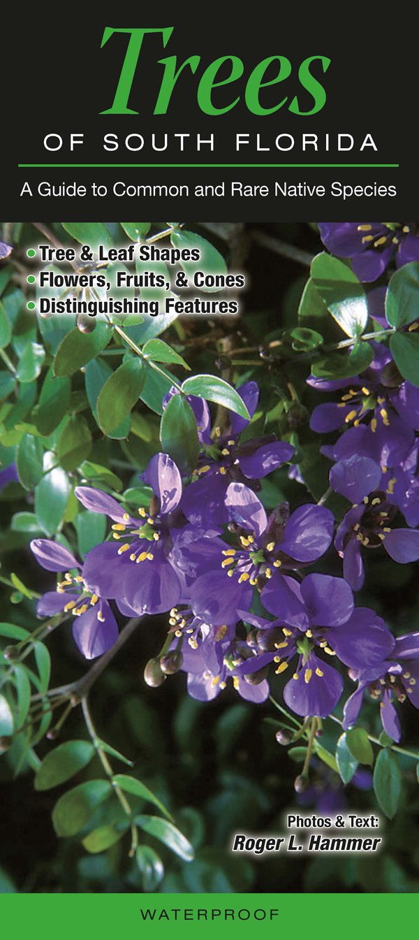 Trees of South Florida: A Guide to Common & Rare Native Species (Quick Reference Guides)