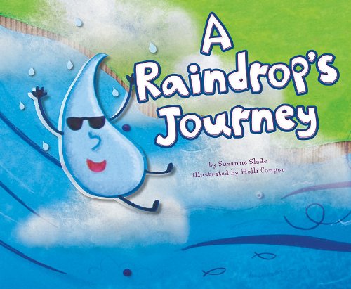 A Raindrop's Journey (Follow It!)