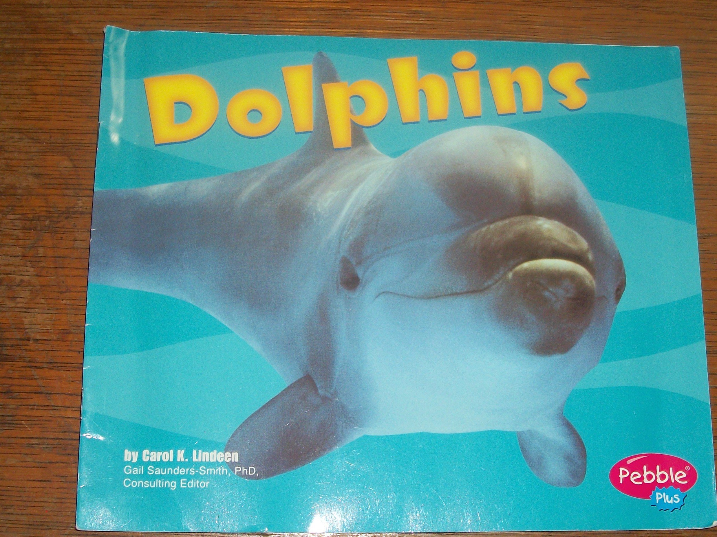 Dolphins [Scholastic] (Under the Sea)