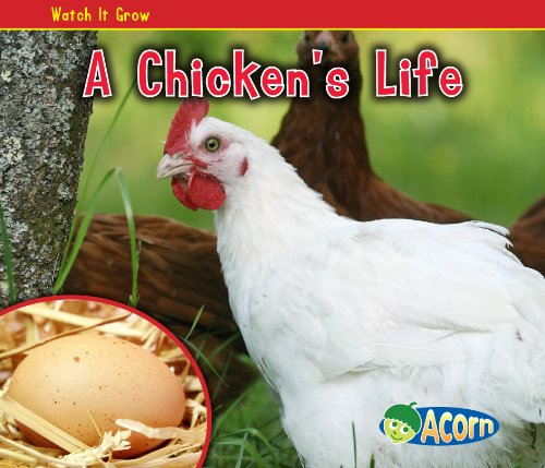 A Chicken's Life (Watch It Grow)