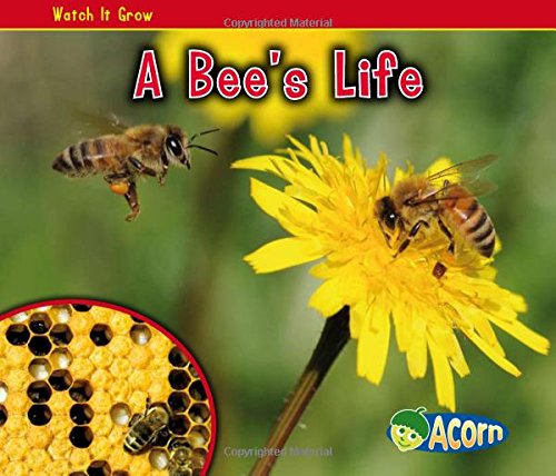 A Bee's Life (Watch It Grow)