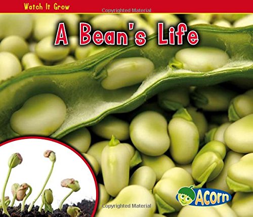 A Bean's Life (Watch It Grow)