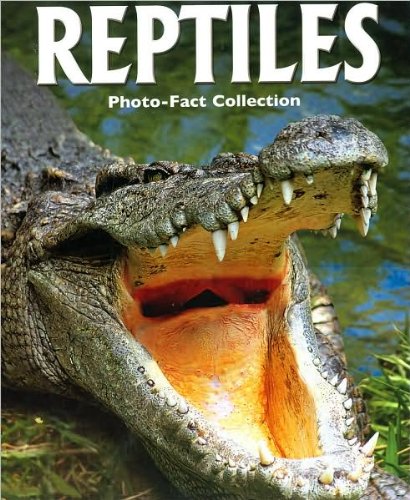 Reptiles.