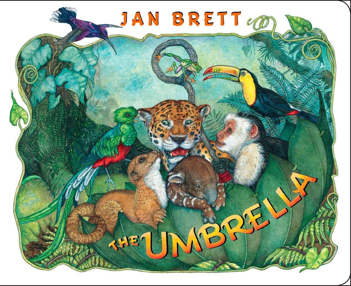 The Umbrella(by Jan Brett)[Board Book] 香蕉伞(卡板书) ISBN9780399255403