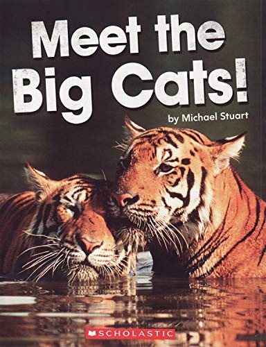 Meet the Big Cats!