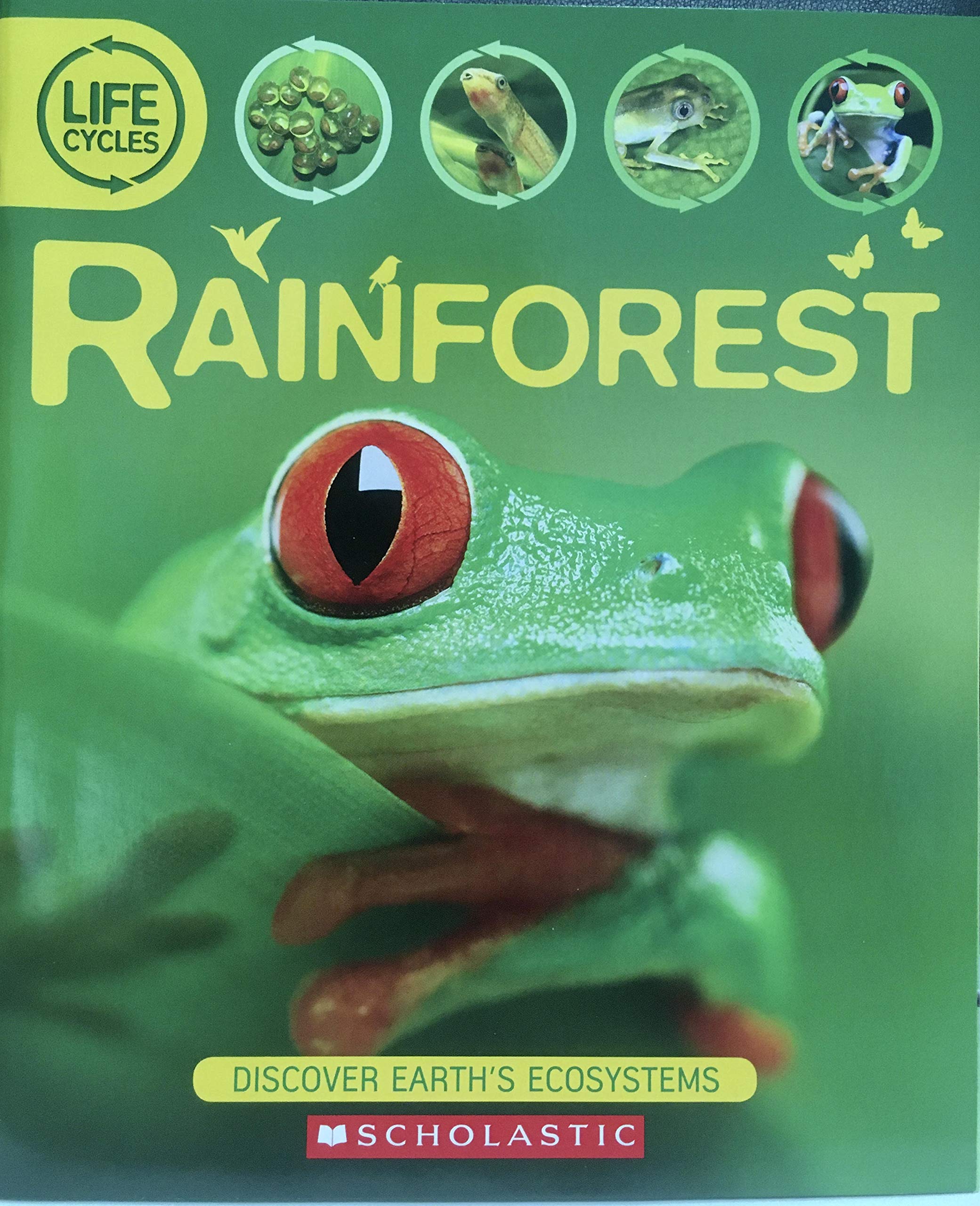 Rainforest (Life Cycles)