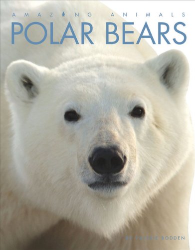 Amazing Animals: Polar Bears