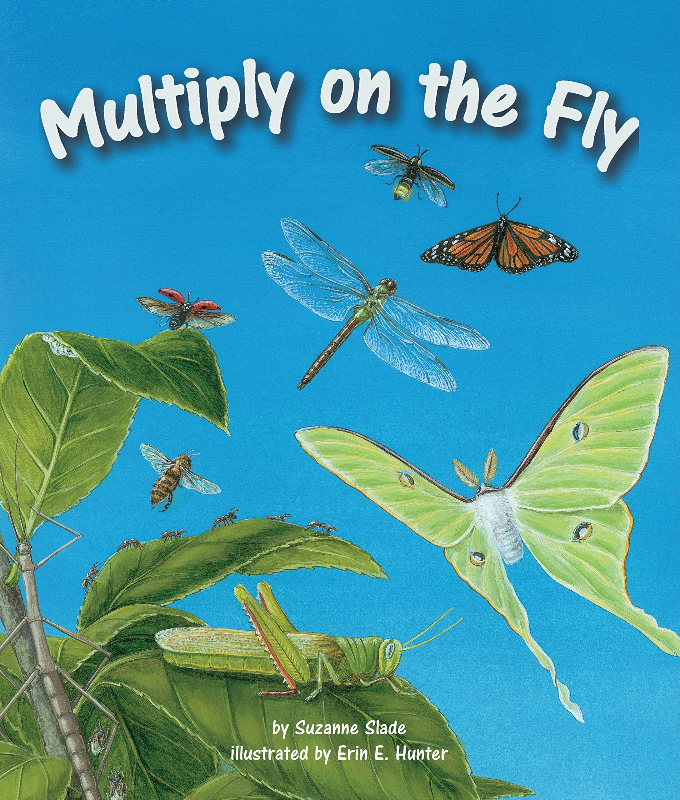 Multiply on the Fly (Arbordale Collection)