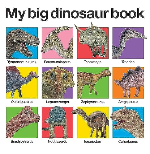 My Big Dinosaur Book (My Big Board Books)