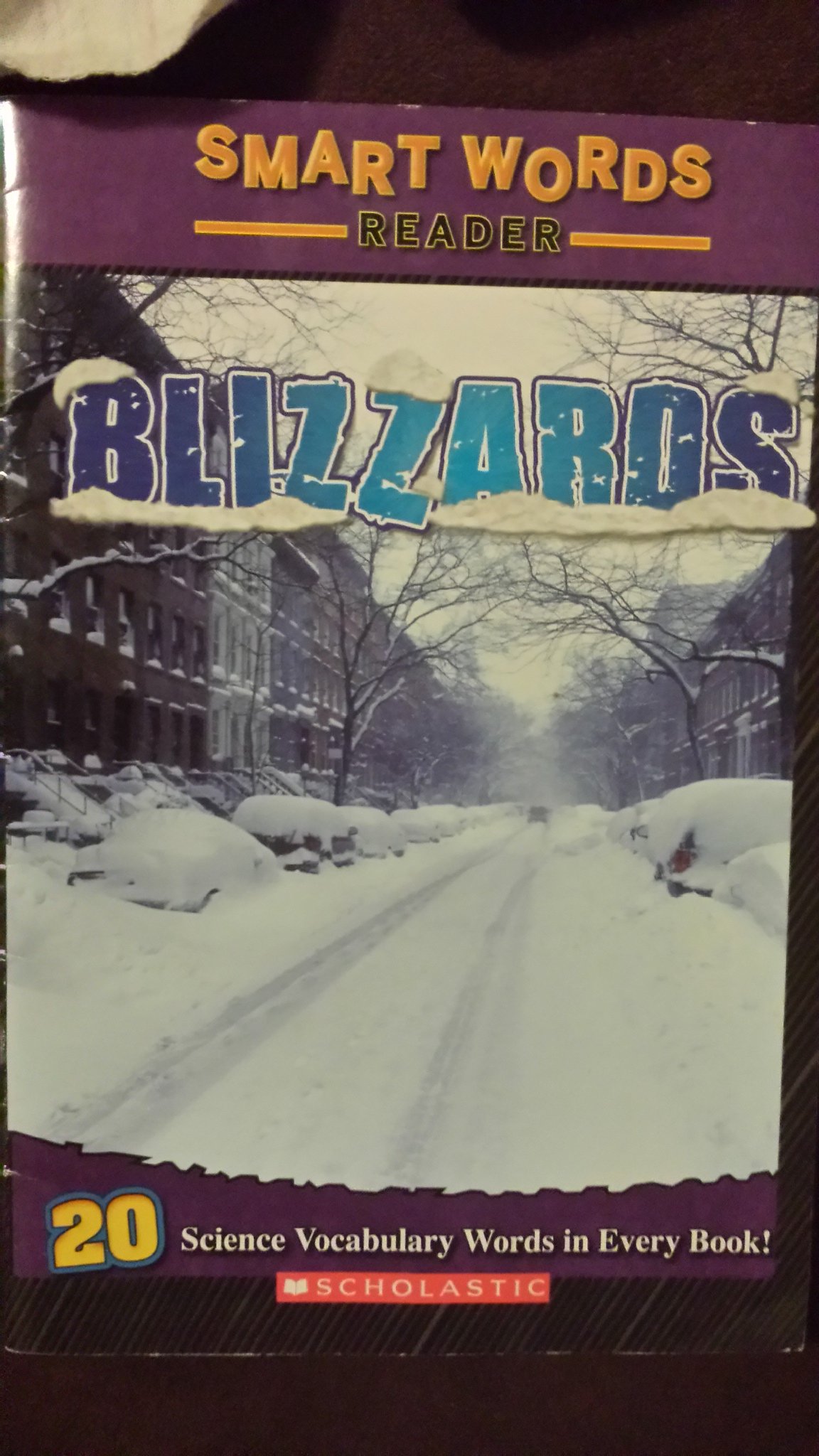 Blizzards (Smart Words Reader)