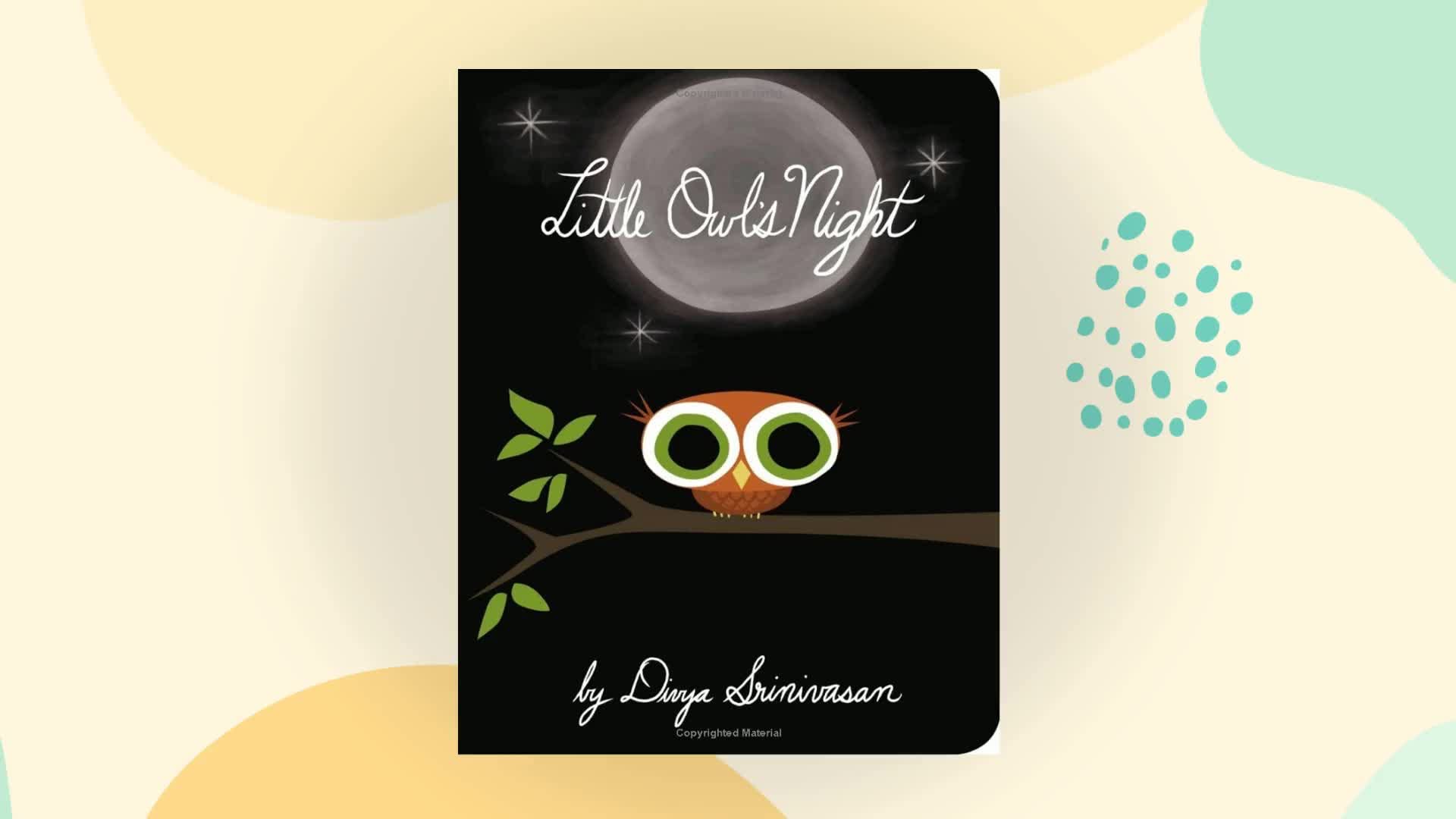 Little Owl's Night