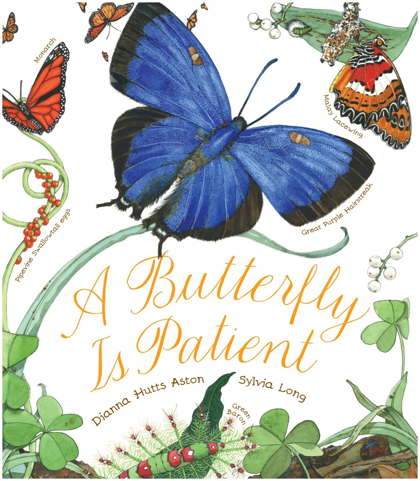 A Butterfly Is Patient (Family Treasure Nature Encylopedias)