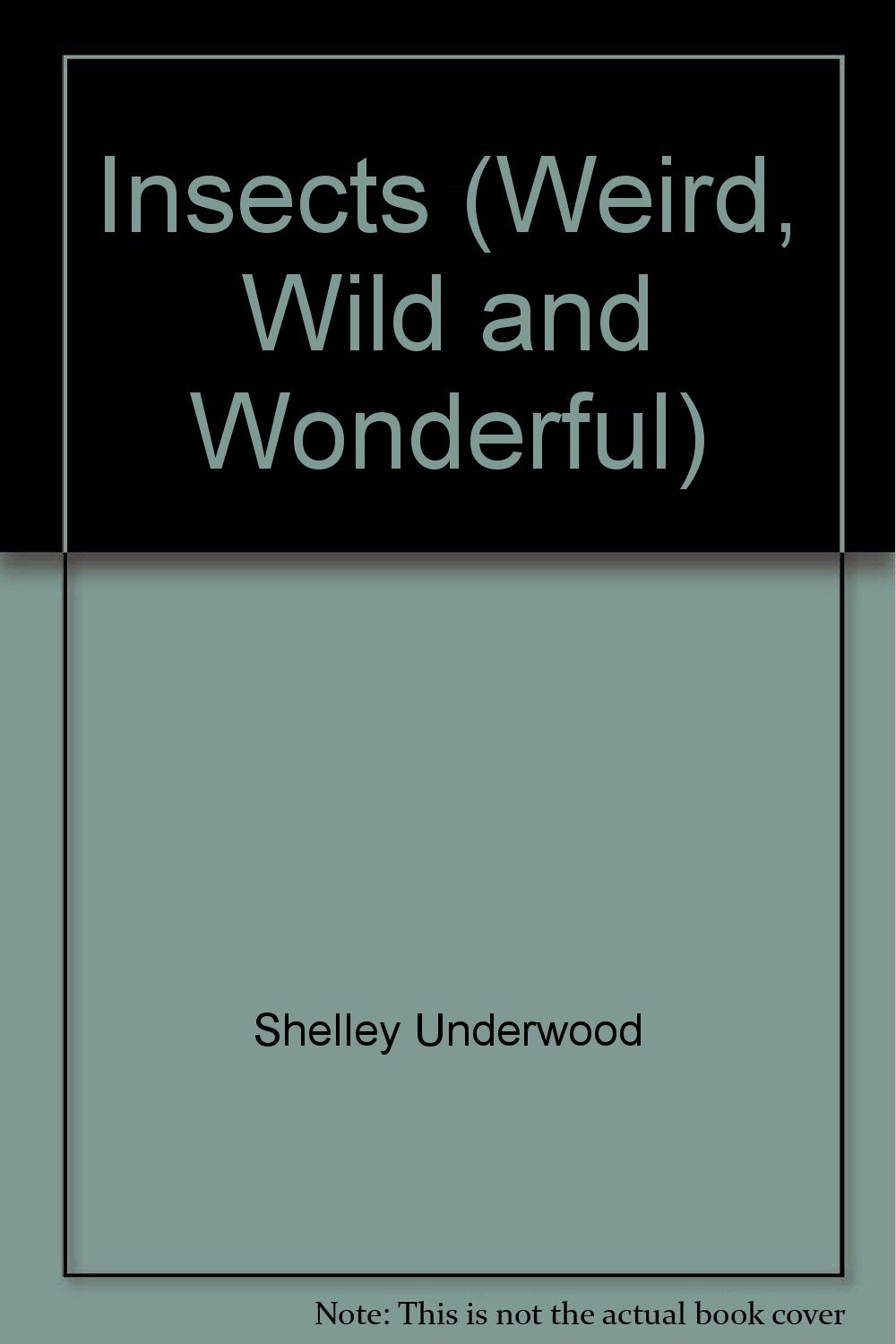 Insects (Weird, Wild and Wonderful)