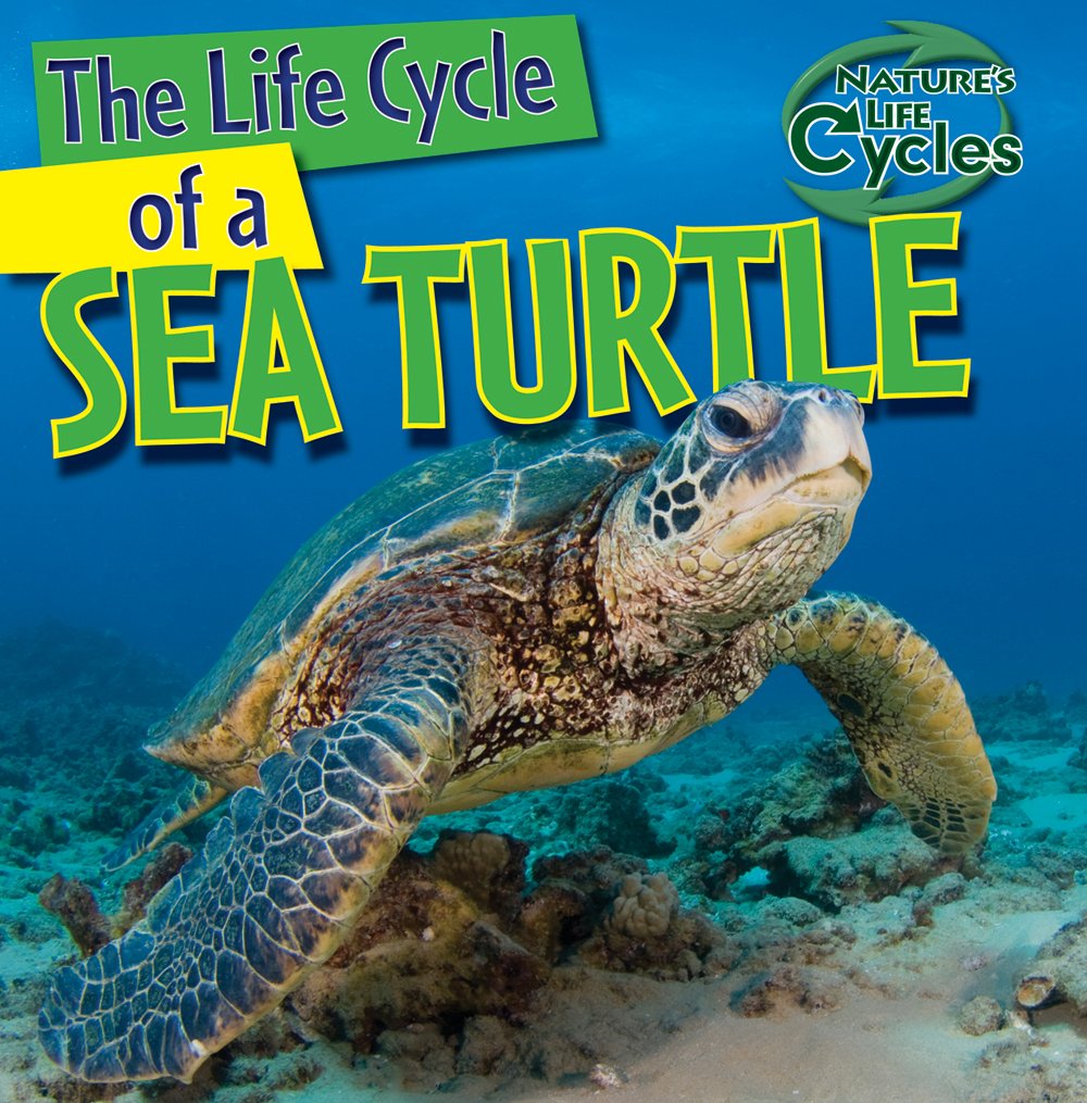 The Life Cycle of a Sea Turtle (Nature's Life Cycles)