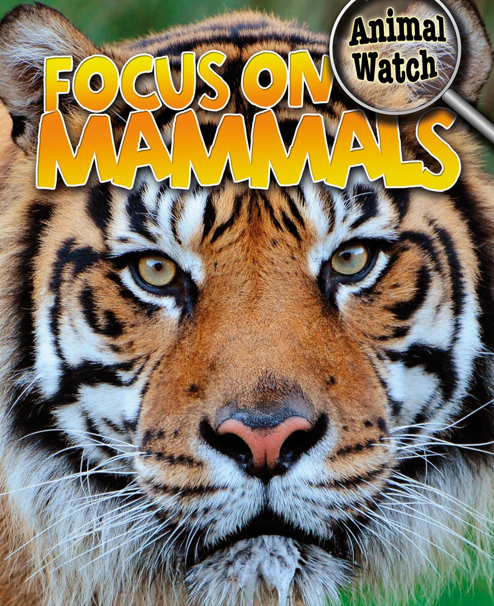 Focus on Mammals (Animal Watch)