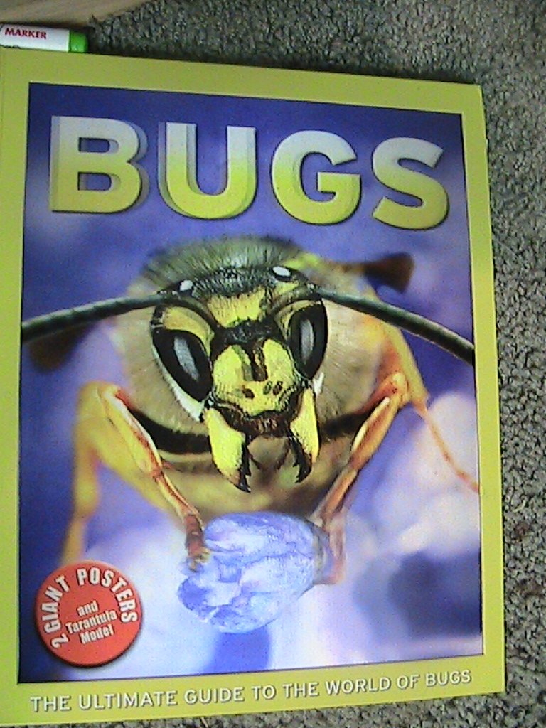 Bugs (The Ultimate Guide to the World of Bugs)