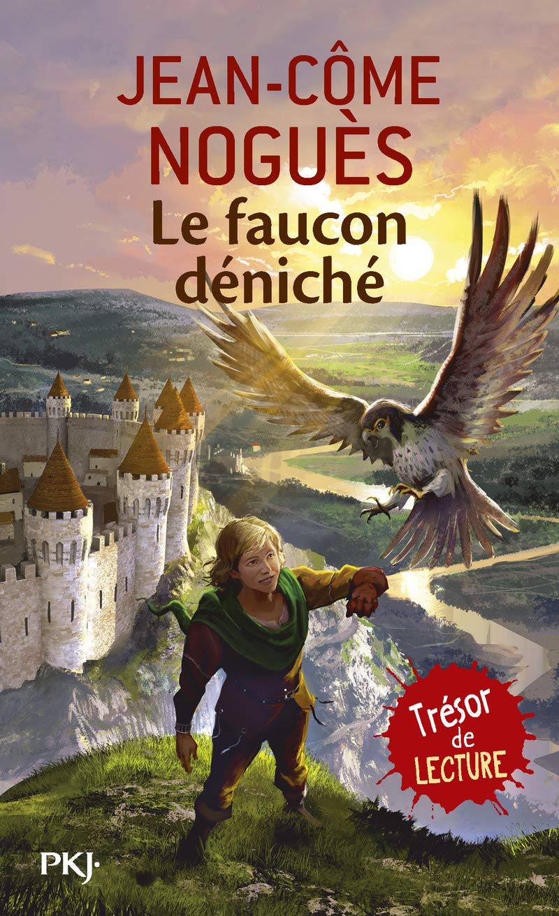 La Faucon Deniche (French Edition)