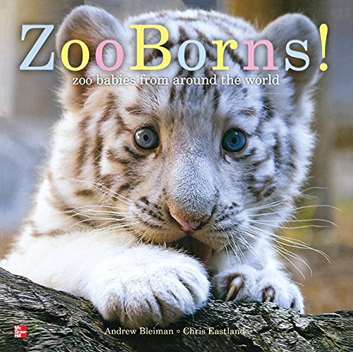 Reading Wonders Literature Big Book: Zoo Borns! Grade K (ELEMENTARY CORE READING)