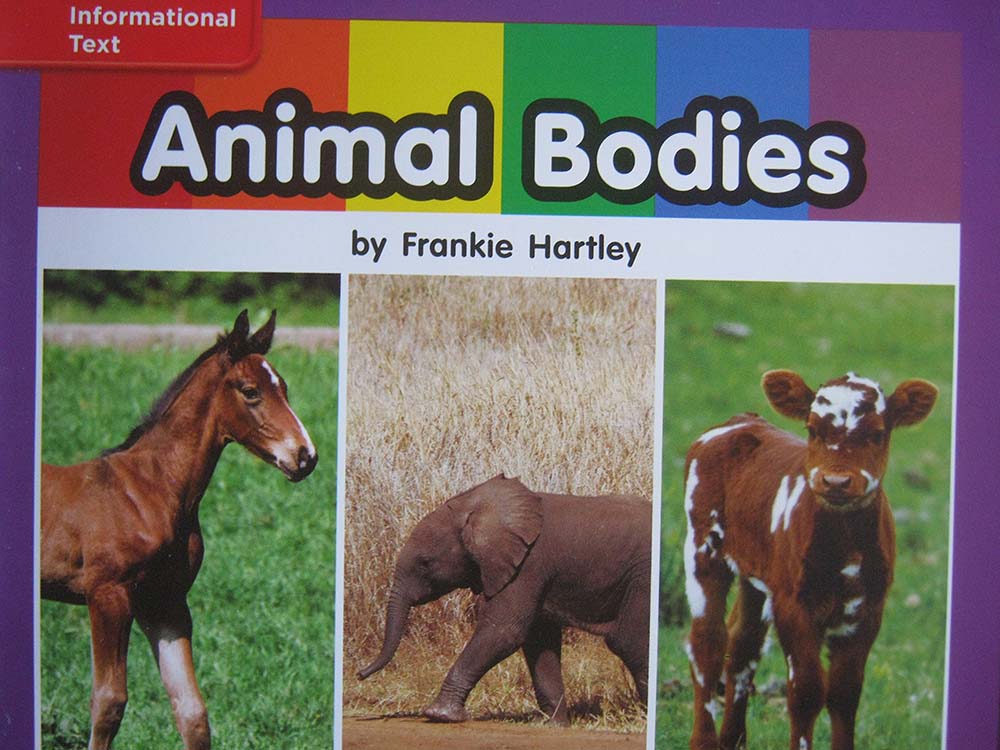 Reading Wonders Leveled Reader Animal Bodies: ELL Unit 7 Week 1 Grade K (ELEMENTARY CORE READING)