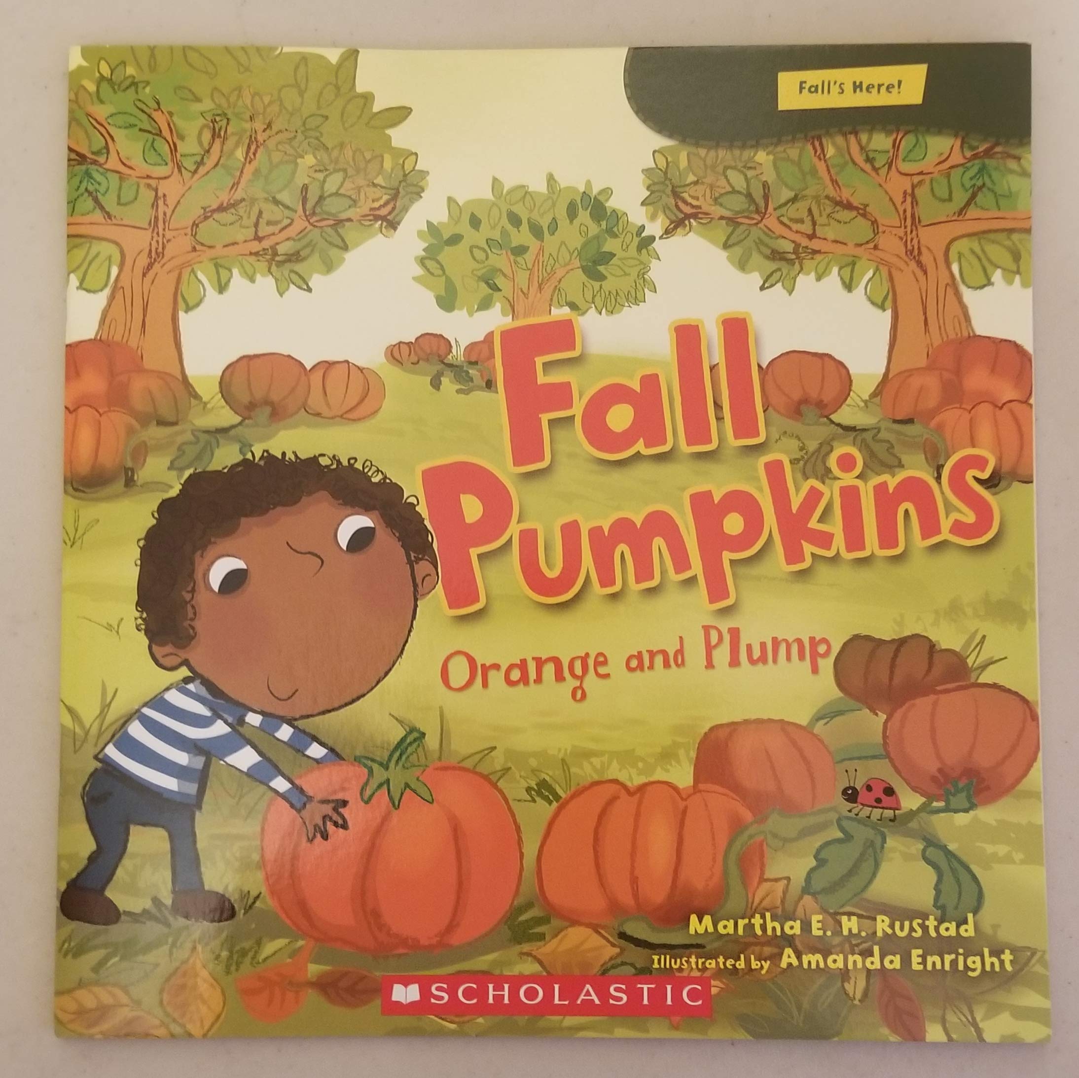 Fall Pumpkins